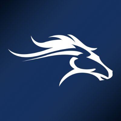 Official X (Twitter) account of @TheMVSchool Athletics. 
#MVAthletics #ImAMustang #GoMustangs