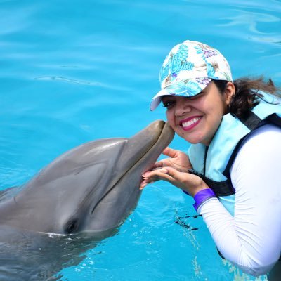 Former Elementary Librarian | 🇲🇽🇩🇴 🇸🇻Spanish 2 Teacher