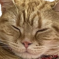 MK (@mk961109) 's Twitter Profile