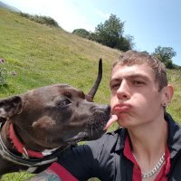 The Duck (quack quack) (@theduck231091) 's Twitter Profile