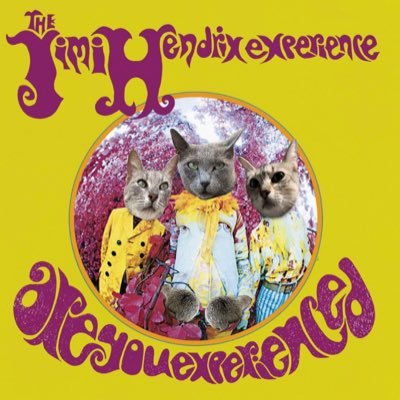 gibanyy's profile picture. do you like my cat(banner made by @badrechicken)