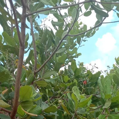 KarthikVol95790's profile picture. 