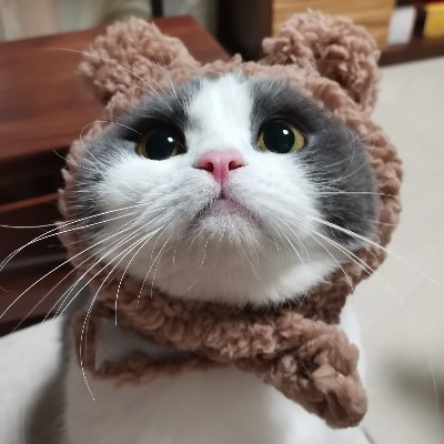 Kou_Akatsukiさんのプロフィール画像