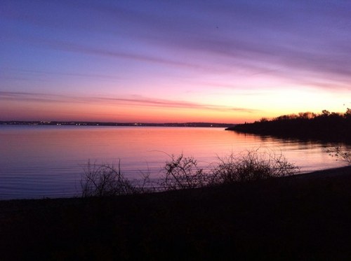 bsubears14's profile picture. 