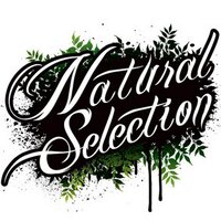 Natural Selection (@selectionnyc) 's Twitter Profile
