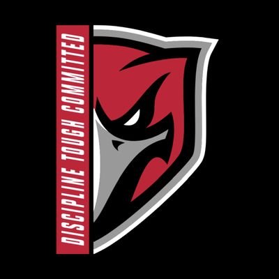 LadyRedHawksBBall Profile