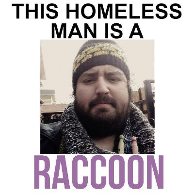 MapacheSideral's profile picture. Un Mapache en tu camino, para engañar a los rústicos.