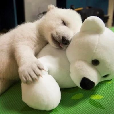 7326Creyes's profile picture. 