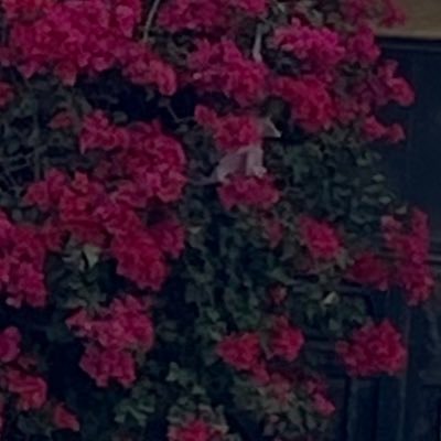 bbb_5g's profile picture. Biochemistry🧬| 👩‍🎓