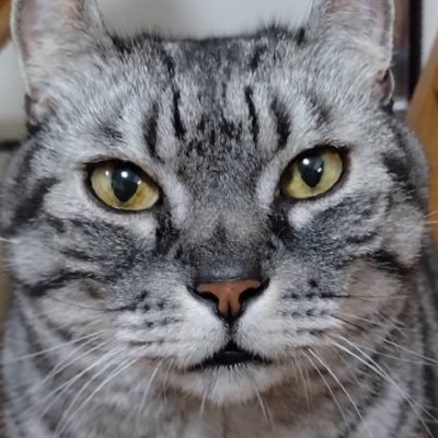 eternally3589's profile picture. 人生消化試合