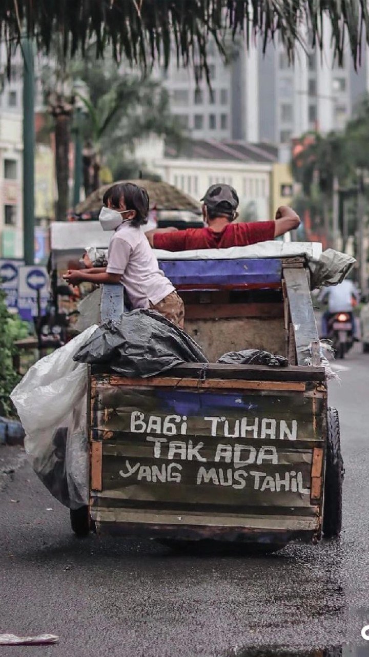 puanmudamudi's profile picture. followers 
likeers