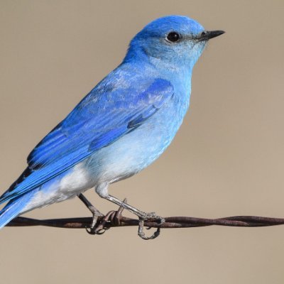 hunk755's profile picture. 