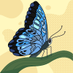Neila Ortiz Balza (@balza7931) Twitter profile photo Neila Ortiz Balza (@balza7931) Twitter profile photo