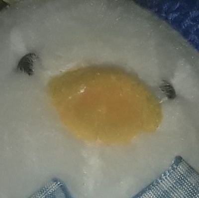 lannnee0412's profile picture. 