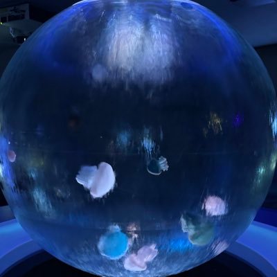 lecocon6's profile picture. 