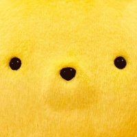 きくのすけ (@kikunosuke0211) Twitter profile photo