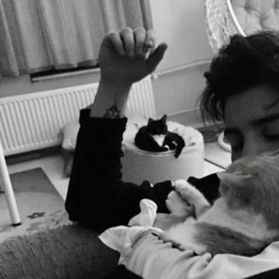 karoom890's profile picture. Trader - Accounting 💰.                         NO Risk - NO Story