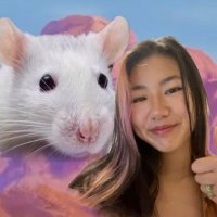 juicyju (@juicyju33) 's Twitter Profile Photo juicyju (@juicyju33) 's Twitter Profile Photo