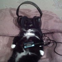 Magicly (@magicly_ow) 's Twitter Profile Photo Magicly (@magicly_ow) 's Twitter Profile Photo