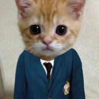 ars (@kerlpik) 's Twitter Profile