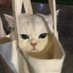 _A_ (@chris75676740) Twitter profile photo _A_ (@chris75676740) Twitter profile photo