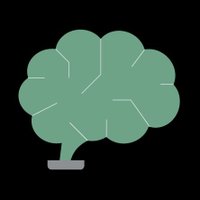 Bonsai Technology (@bonsaitechsrl) 's Twitter Profile