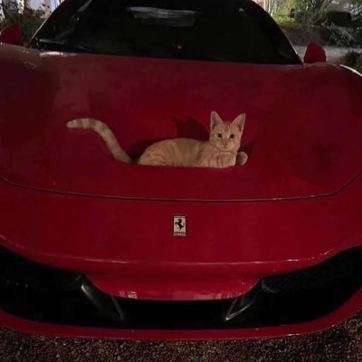 wouldyoumaybe's profile picture. tell me why I completely forgot twitter existed