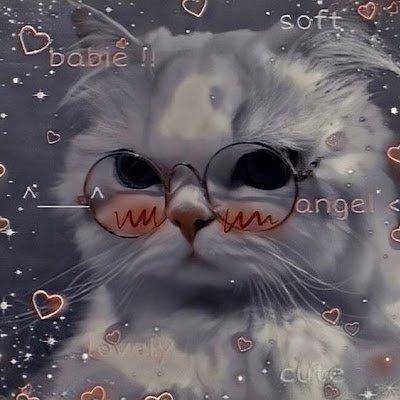 NgocNguyen1496's profile picture. 