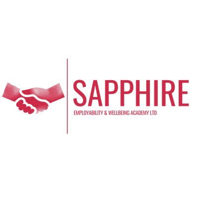 The Sapphire Employability and Wellbeing Academy Profile