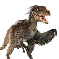 LOST: Pet Velociraptor(@PetVelociraptor) 's Twitter Profile Photo