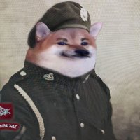 Charles Counsell NAFO Go To It ๐บ๐ฆ๐ฌ๐ง๐ฎ๐ฑ (@captaindarlow) 's Twitter Profile