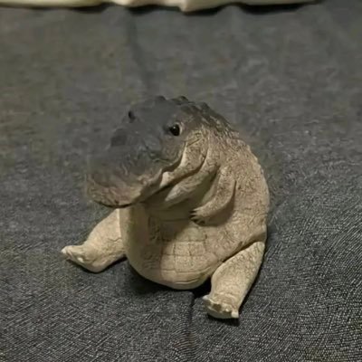 thesegaynerds's profile picture. 