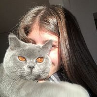 Alice آلیس در سرزمین عجایب (@alice1eth) 's Twitter Profile