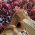 Selin Tolinay (@selintolinay) Twitter profile photo Selin Tolinay (@selintolinay) Twitter profile photo