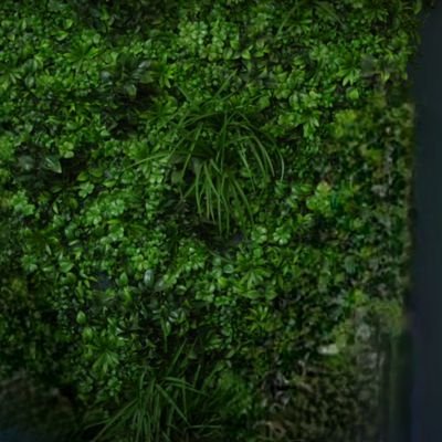 EGA UltraB ancien compte Profile