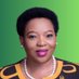 Premier Nomusa Dube-Ncube (@nomusadubencube) Twitter profile photo