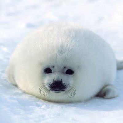Party Seal