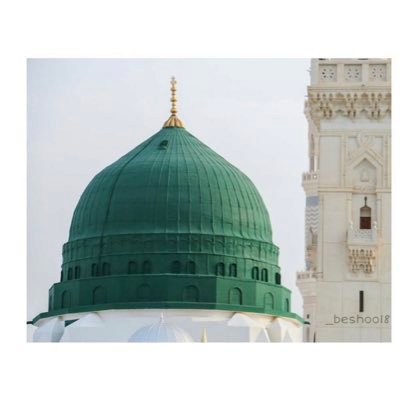 Jibril250's profile picture. في محاربة النفس والشيطان