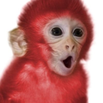 ButtOfRedMonkey's profile picture. गर्व से कहो हम हिंदू है 🚩 जय श्री राम 🚩 हर हर महादेव 🚩🙏🙏🙏