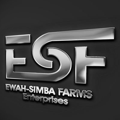 MatthewDib83342's profile picture. 