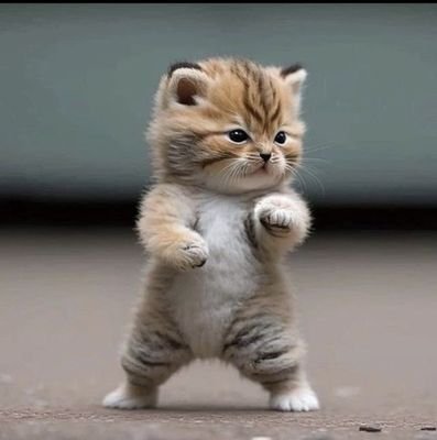 himajin002146's profile picture. スマホ新しくしたので心機一転。
YouTube【心霊系・ゲーム実況】｡
女子プロレス｡アイドル｡K-POP｡
可愛い女の子を見るのが好きな女子(22）
です(*^^*)