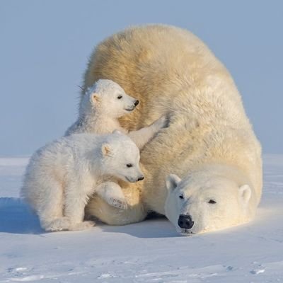 wsm02032's profile picture. 