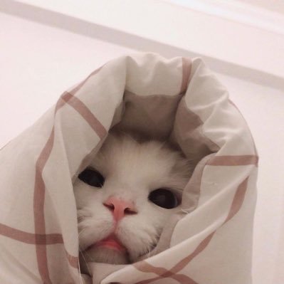 cceunn's profile picture. sampah curhatan