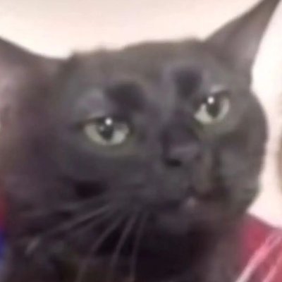 dinafdly's profile picture. 