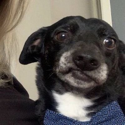 pelehprata's profile picture. tô aqui pra reclamar