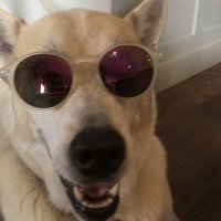 John L. Bartlett (@johnlbartlett) 's Twitter Profile