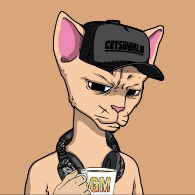 Michell2093581's profile picture. Drop Hanter
#mintBase
$TORTLE