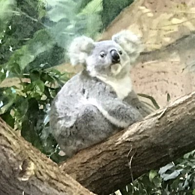 CiantarGuylene's profile picture. Le bien, le beau, le vrai