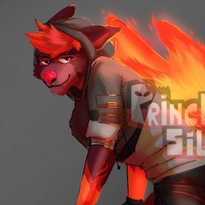 A phoenix wolffo | Single | 23 | Bisexual |Esp-Eng | Argentinian 🇦🇷