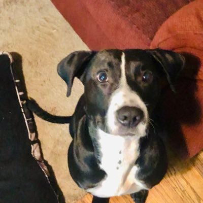 travknepper's profile picture. 